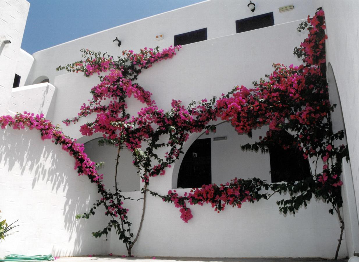 San Antonio Summer House Piso Livadi Dış mekan fotoğraf